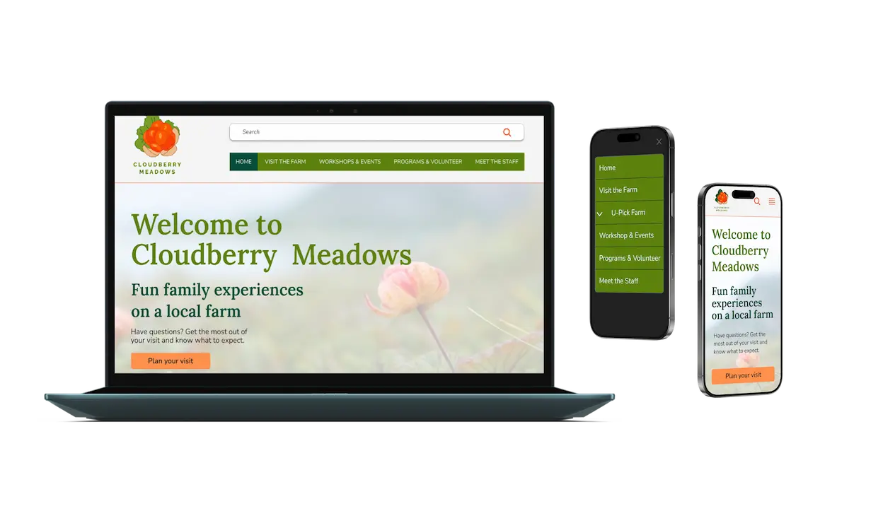 cloudberry website in phone and laptop mockups
